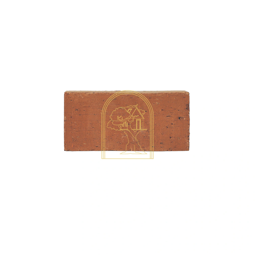 Wirecut Brick